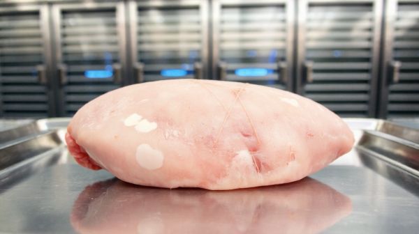 Top méthodes pour préserver le foie de veau par congélation